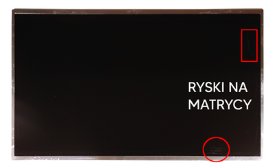 Matryca LG LP156WD1(TL)(B1) / 15,6'' HD+ (1600 x 900) / 40 pin LVDS / Klasa A-